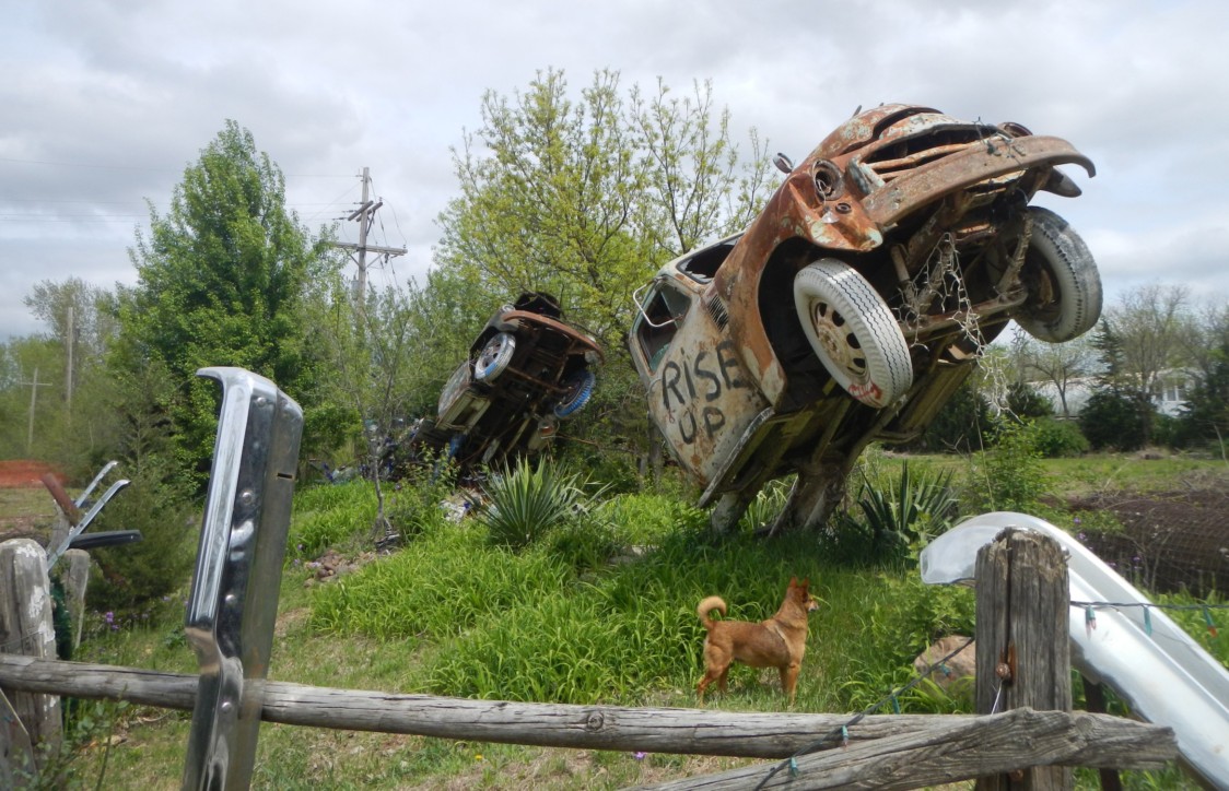 Lessman’s dog, Foxy, stands triumphantly among his bumper crop and truck monoliths.