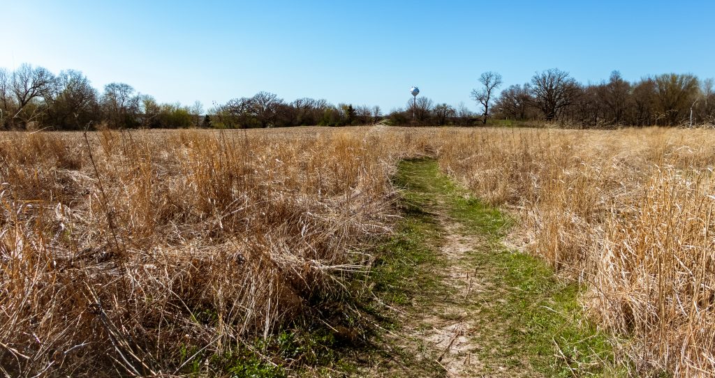 A grassy hiking path through a field.