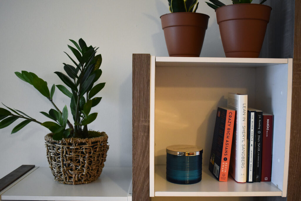 pleasantly minimalist cubby of books with a plant.