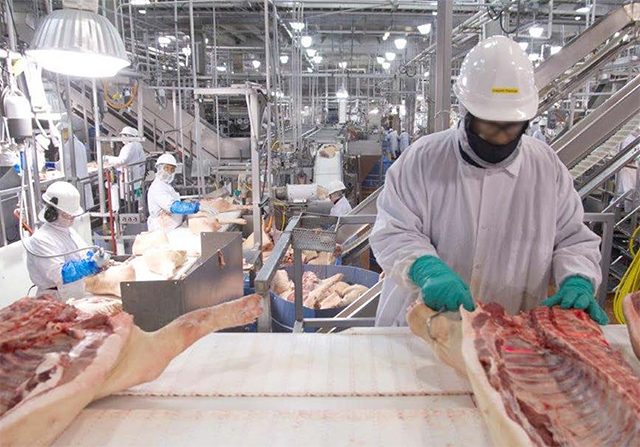 A large warehouse with conveyor belts and workers handling meat.