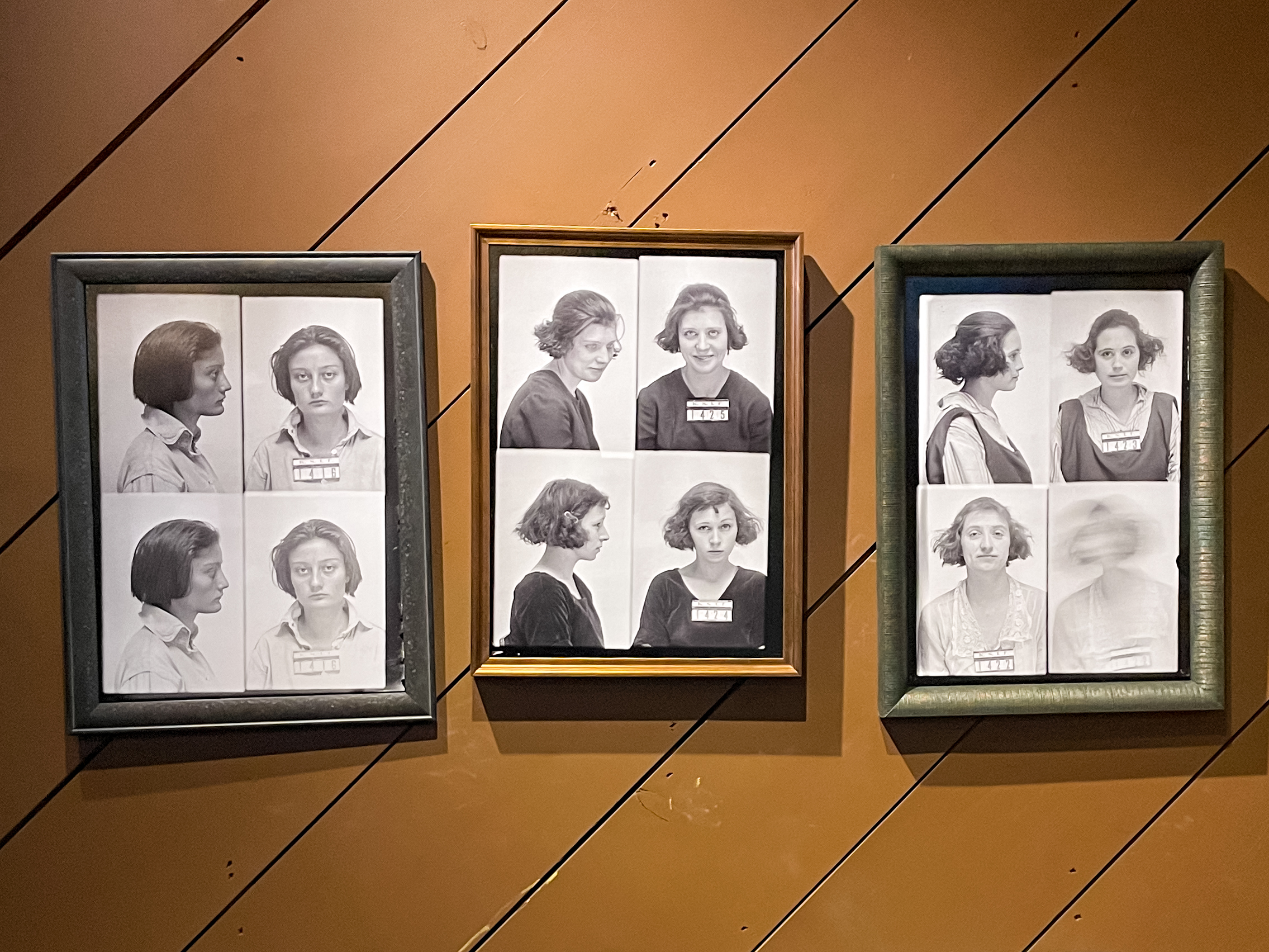 Three frames hang on a wall. Within each frame is a prison intake photo of a woman who served a sentence at the Kansas State Industrial Farm for Women. The first frame is black and contains four images of one woman. The second frame is gold and contains four prison intake photos, two of two different women. The final frame is green and contains four prison intake photos, two of two different women. The bottom right photo in this frame is blurry as the woman must have moved when the photo was taken.