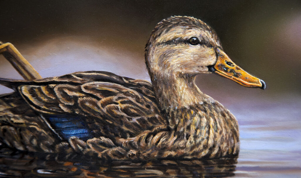 Painting of a duck in the water.  
