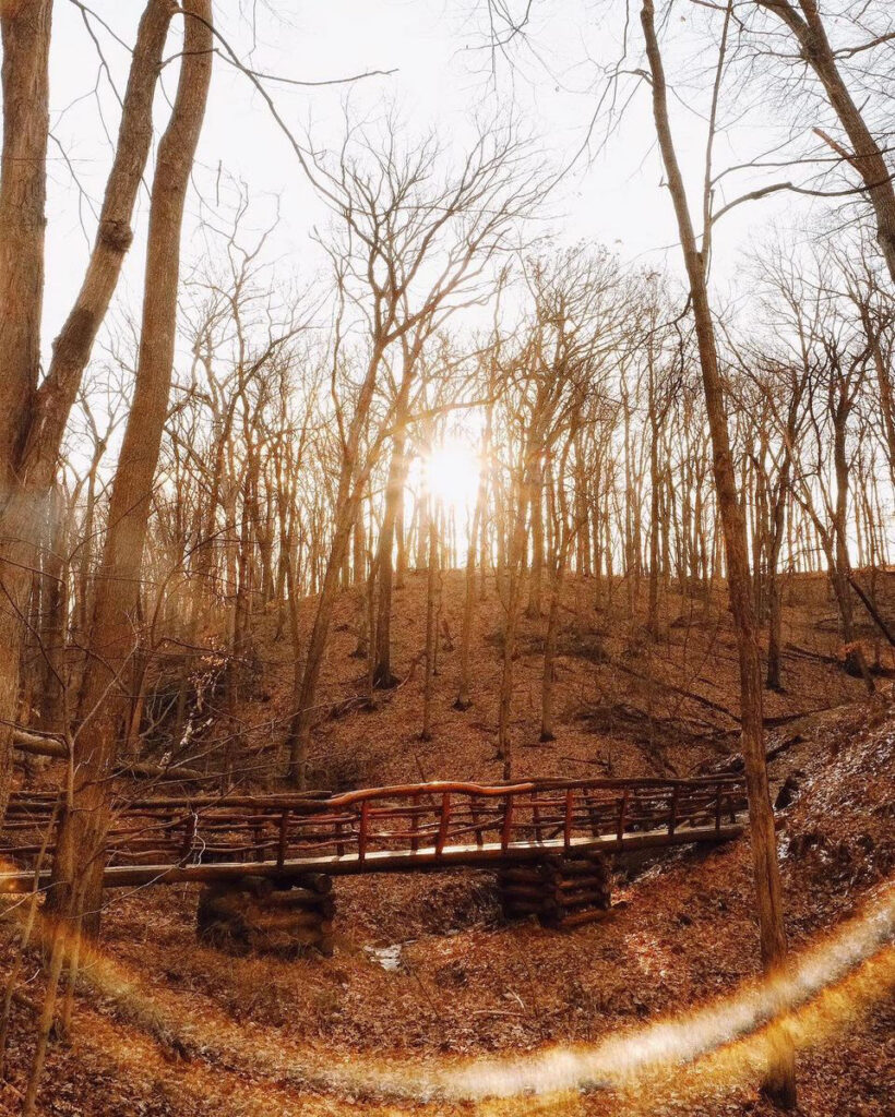 The sun peeks through the woods above a small wooden bridge for people to walk along 

