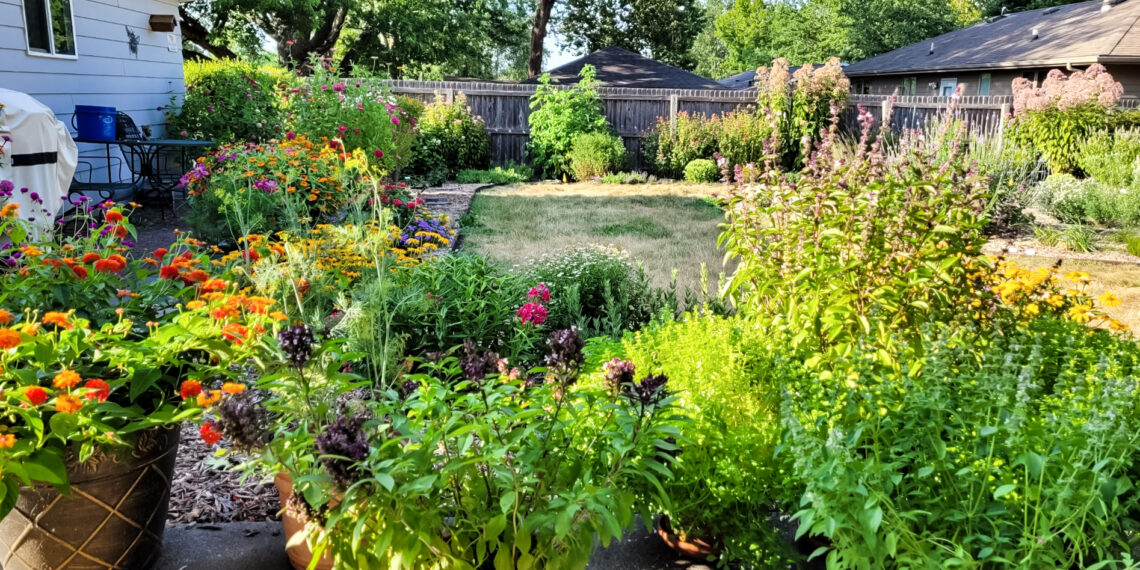 Missy Johansen’s backyard is filled with over 100 native plants. On the far left of the photo sits her garage and several more colorful plants, some in pots and some in the ground. Along the back sits a gate with some taller native plants, and there are more green plants towards the right of her yard, with a small patch of turf grass left in the middle.