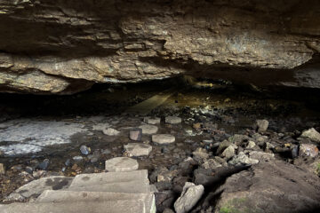 This image shows the inside of the cave. It is dark, but there is some dim lighting. The overhead rocks of the cave show the damp condition and the path of the cave has pools of water to wade through. There is both a cement path and rocks to step on to while walking through the cave. The rocks near the entrance have green moss on them.