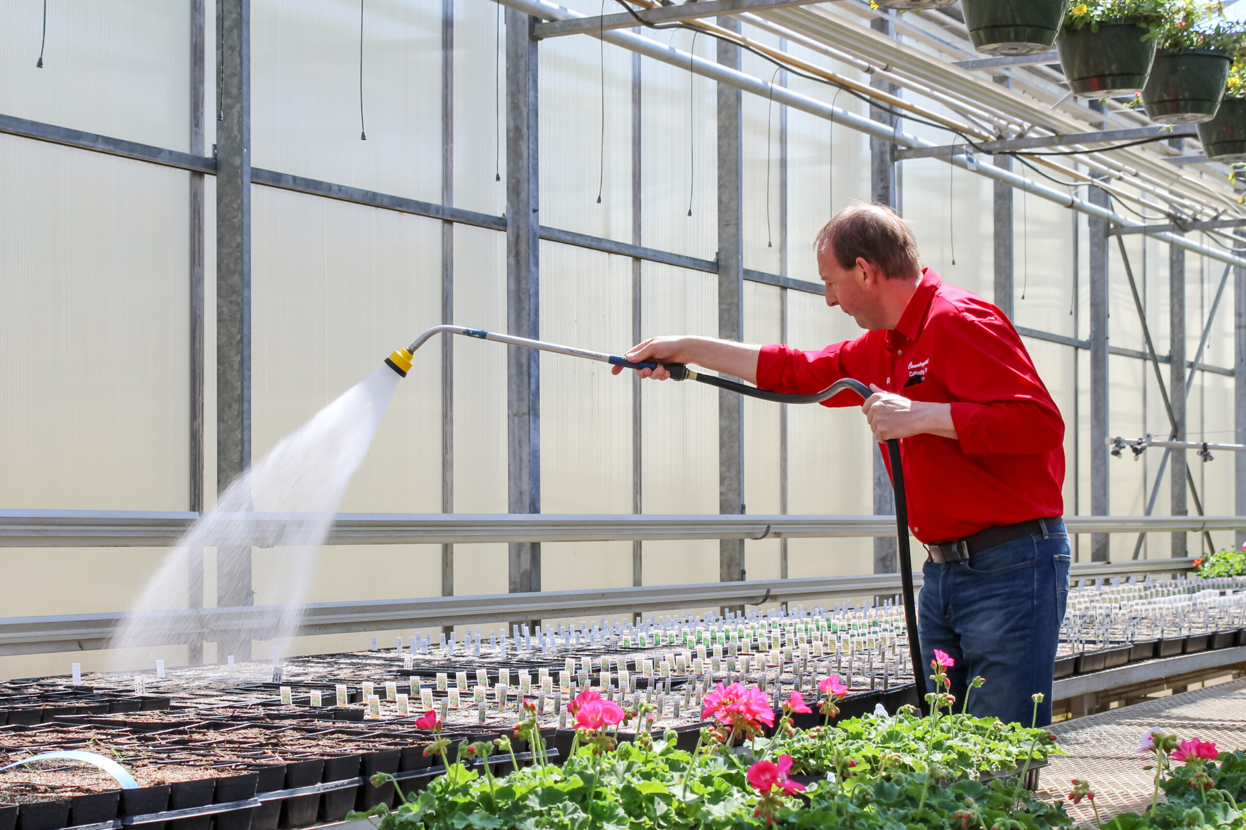 A man holding a hose and watering a row of growing plants in the greenhouse behind the store.