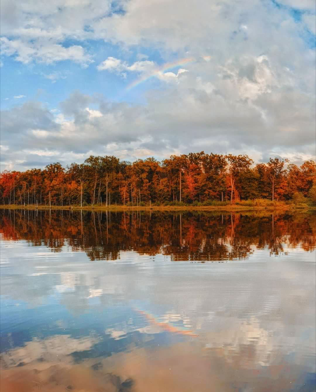 Fall trees reflect off of the lake with cloudy skies above.